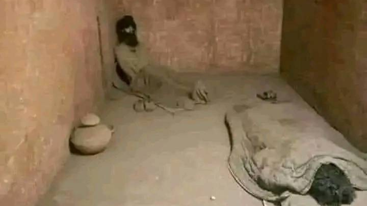 The Silent Deaths in Palestine