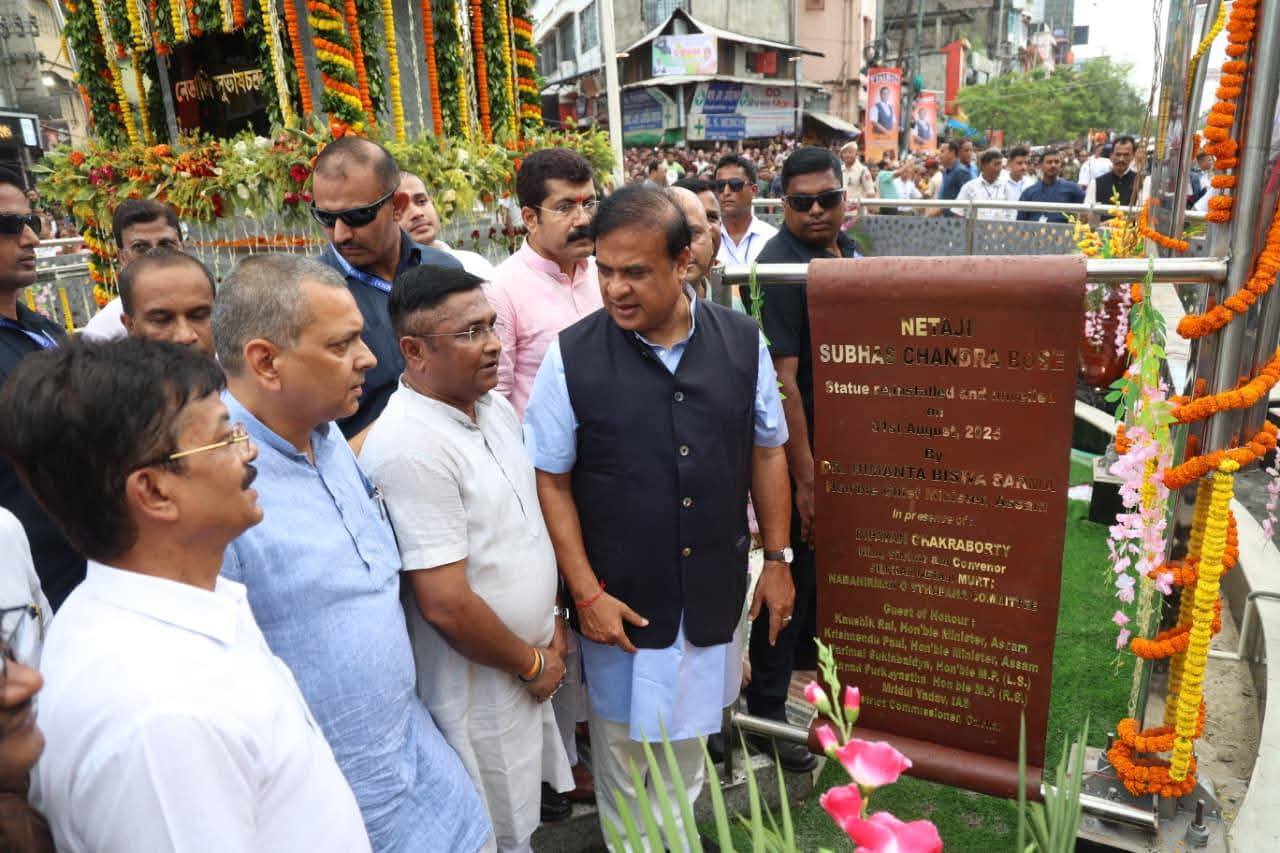 540037356 1249684100537290 1845878336150805795 n